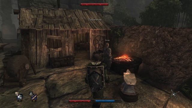 Можно ли играть в Risen в 2024?