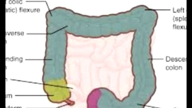 Tumenye Umubiri Wacu EP7: Amara[Intestines] смотреть онлайн