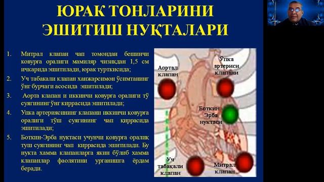 Юракнинг насос фаолиятини физиологияси ва юракни идора килиниши смотреть онлайн
