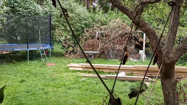 Как вылупляется бабочка из куколки смотреть онлайн