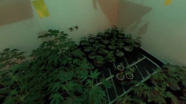 Трансляция номер 43 смотреть онлайн