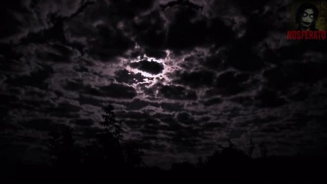 ЧЕМ ПАХНЕТ ЗЕМЛЯ. ОДИН В ВЫМЕРШЕЙ ДЕРЕВНЕ. Страшные истории на ночь. Страшилки на ночь смотреть онлайн