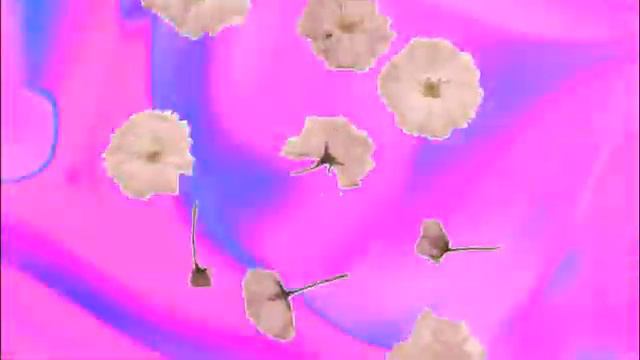 Налетели вдруг дожди... Кавер-версия ИВАН Отрадный смотреть онлайн