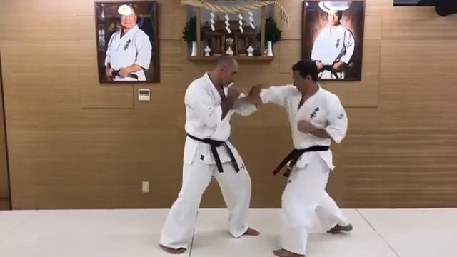 Combination #20. Yakusoku Kumite смотреть онлайн