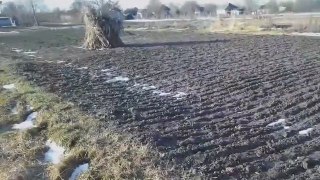 Бизнес на селе : 2016.12.11 11.19.16 смотреть онлайн