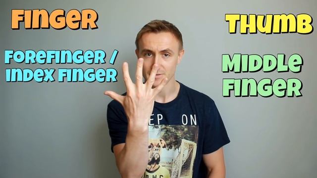 Названия пальцев РУК и НОГ в английском. FINGERS vs TOES смотреть онлайн