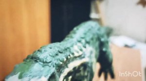 Tyrannosaurus rex из пластилина.