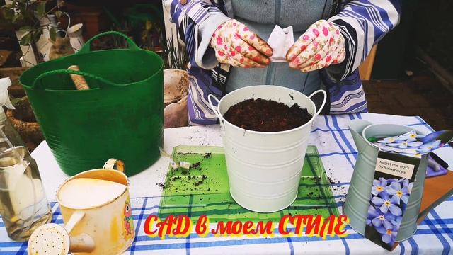 Посев ЛЕТНИХ ЦВЕТОВ в стиле SHABBY CHIC//??гальванические контейнеры:ведёрко, леечка/кувшинчик. смотреть онлайн