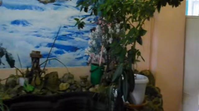 МОБУ СОШ с. Оленевка смотреть онлайн
