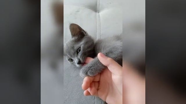 вкусные пальчики у меня?? смотреть онлайн