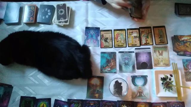 Тароскоп любви вода часть 1 смотреть онлайн