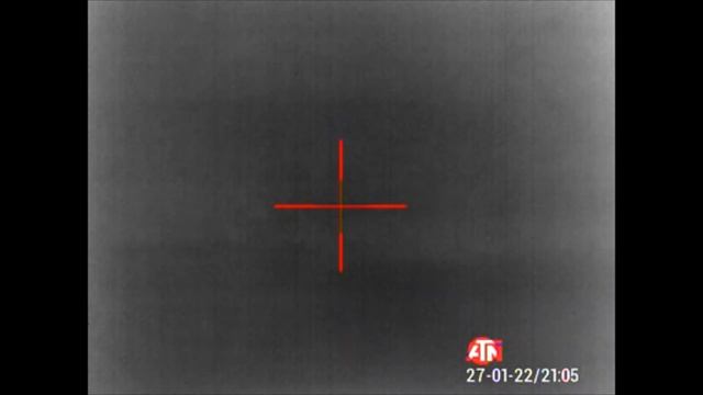 Охота на лис 2022 | регулирование численности | охота с тепловизором смотреть онлайн