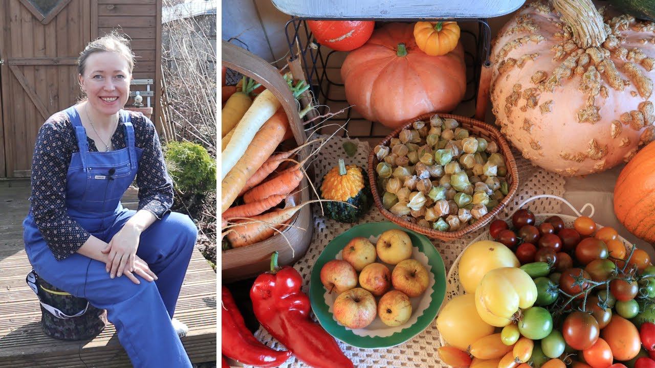 УДачный пенёк / Как собирать урожай, не вставая со стула?! смотреть онлайн