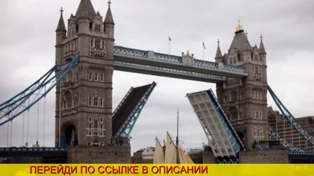 авиабилеты домодедово расписание смотреть онлайн