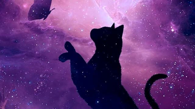 Кошки гуляют в Астрале смотреть онлайн