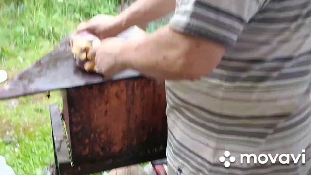 Разделка цесарки. Быстро и легко. смотреть онлайн