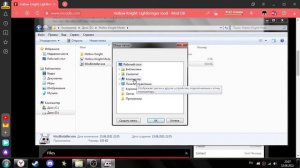 Гайд по установке модов на Hollow Knight