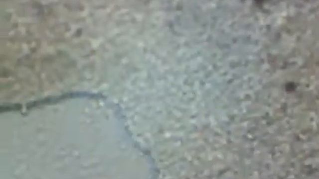 DVD-R Surface Under The Microscope. (Поверхность диска под микроскопом)