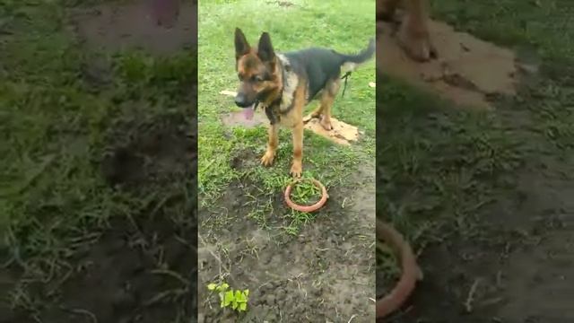 WhatsApp Video 2023 04 30 at 16 01 52 смотреть онлайн
