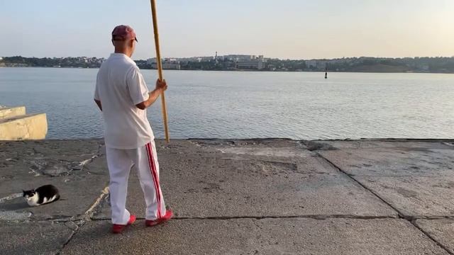 Ицюань / Yiquan (208 день). Ченбао Чжуан / Хуньюань Чжуан / Фуху Чжуан / Гуньфа - работа с шестом смотреть онлайн