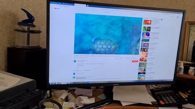 Проблемы с видеокартой видео1 смотреть онлайн