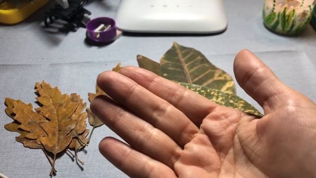 Мои покупочки в Португалии смотреть онлайн