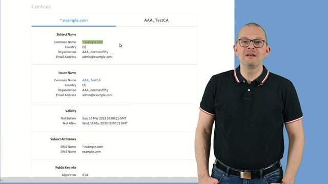 How to run the example.com domain on Proxmox смотреть онлайн