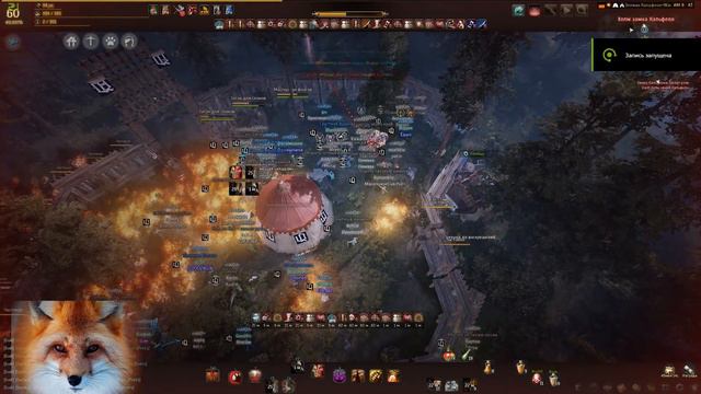 Ru Black Desert. iddQd vs Prets. Осада Кальфеона 01.14.2017 смотреть онлайн