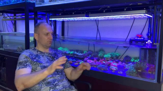 «Рифовый Аквариум» Грунт. Часть 13 смотреть онлайн