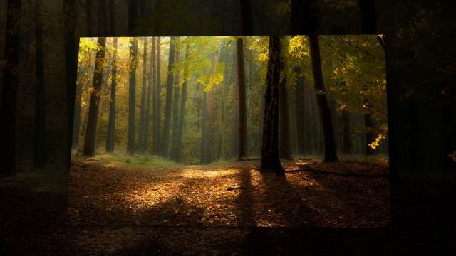 Красота Природы