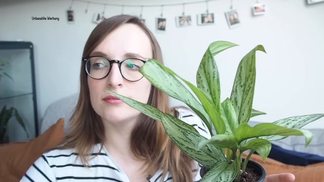 RARE PLANT HAUL BEI BEN'S JUNGLE + KLEINER FAIL | coyote diaries смотреть онлайн
