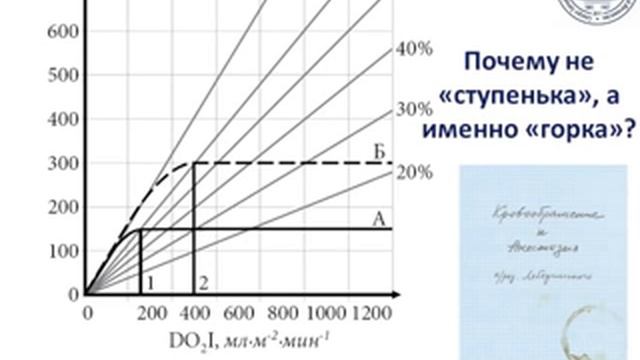 Мониторинг потребления кислорода (кИВЛ14дек) Лебединский К.М.(2) смотреть онлайн