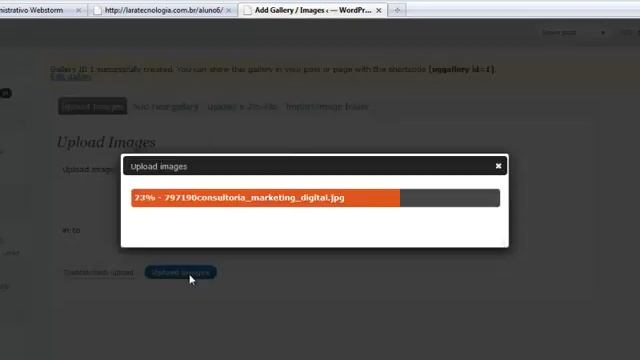 Plugin Wordpress NextGen Gallery смотреть онлайн