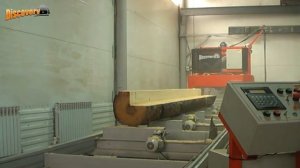 Угловая двухдисковая пилорама ＂Discovery NEXT＂