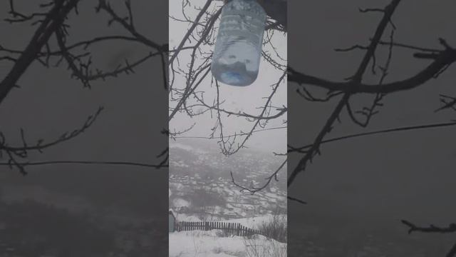 Погода в начале февраля 2021 года смотреть онлайн