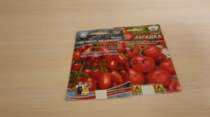 Томаты скороспелки  на сезон 24