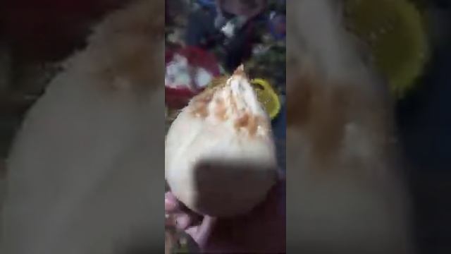 Gọt trọc dừa tại farm Queen Coconut смотреть онлайн