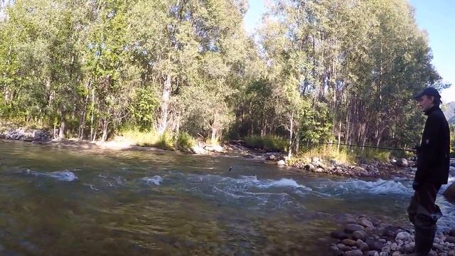 Байкал - август 2016 Чивыркуйский залив - река Большие Черемшаны http://baikal-wild-fishing.ru смотреть онлайн