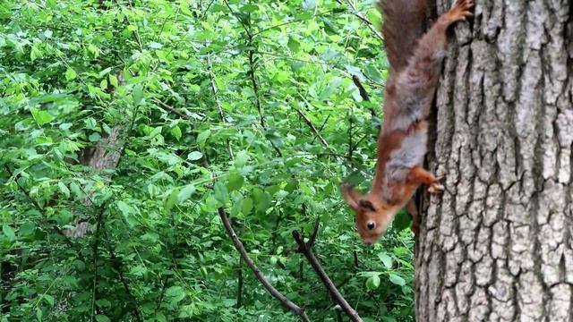 Железноводск, май 2022г.