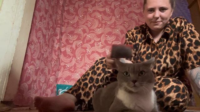 🛣️🚙 VLOG☀️🌳