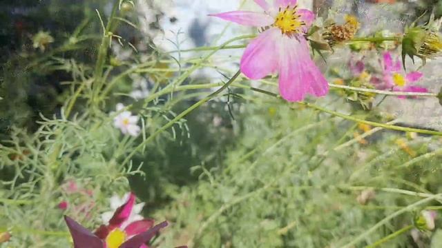 Что означает когда приснилась железная дорога смотреть онлайн