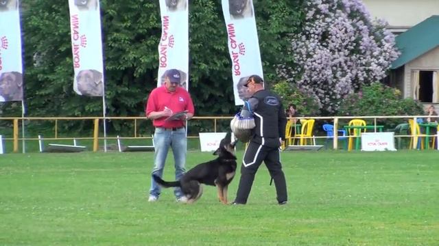 Пугачёва Ирина и Fredy vom Prielberg - Невский Иподром-2012 - "С" смотреть онлайн