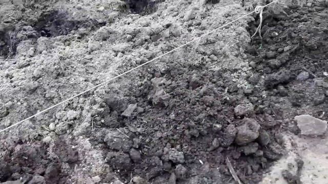 Забор из кукурузы и подсолнуха смотреть онлайн