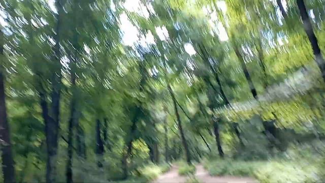 Терренкур санатория имени Горького Воронеж 29.06.2022 смотреть онлайн