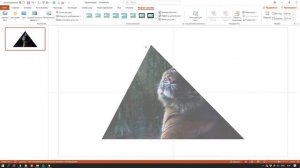 Обрезка изображения в PowerPoint [2/3]