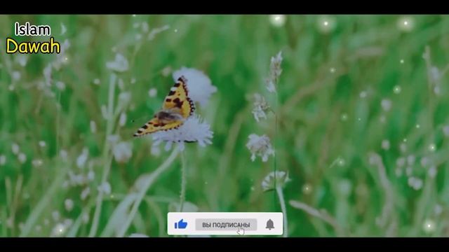 10 советов для тех, у кого слабеет Иман смотреть онлайн