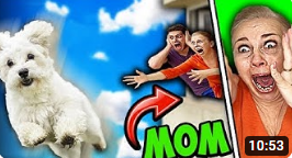 Wigofellas Pranks on Mom DAY 7 - Wigofellas Pranks TikTok - Wigofellas Pranks on Girlfriend - Sister