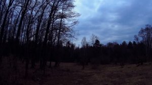 Взял 3 патрона на охоту....Классическая двустволка на классической охоте на вальдшнепа. Simson 235.