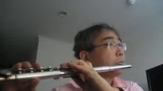찬송가 Hymn - 306 장 - 감사하는 성도여 - Pearl Nickel Flute смотреть онлайн