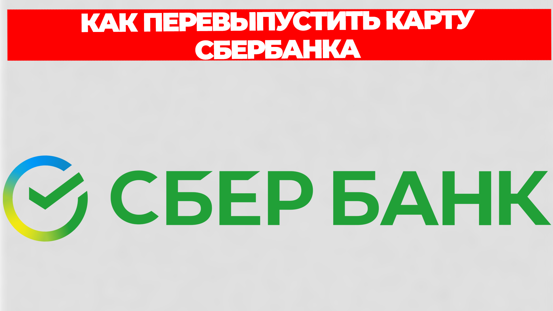 Всезнающий Енот